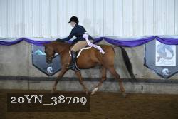 20YN_38709 thumbnail