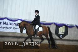 20YN_38738 thumbnail