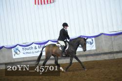 20YN_45701 thumbnail