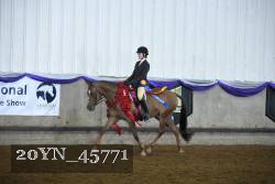 20YN_45771 thumbnail