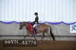 20YN_45774 thumbnail