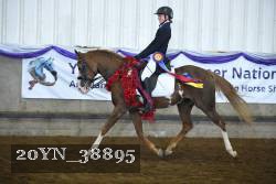 20YN_38895 thumbnail