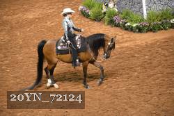 20YN_72124 thumbnail