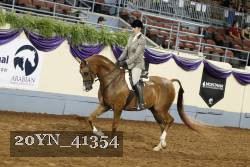 20YN_41354 thumbnail