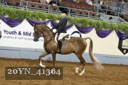 20YN_41364 thumbnail