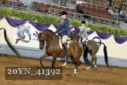 20YN_41392 thumbnail