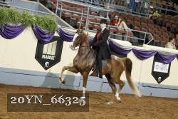 20YN_66325 thumbnail