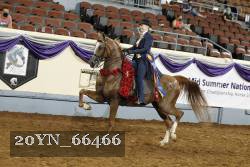 20YN_66466 thumbnail