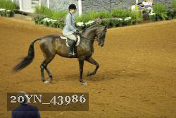 20YN_43986 thumbnail