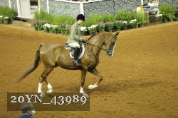 20YN_43989 thumbnail