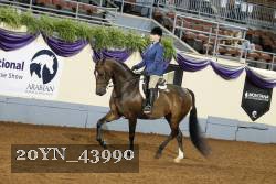 20YN_43990 thumbnail