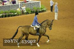 20YN_43992 thumbnail