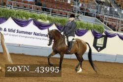 20YN_43995 thumbnail