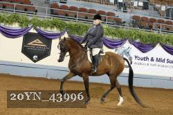 20YN_43996 thumbnail