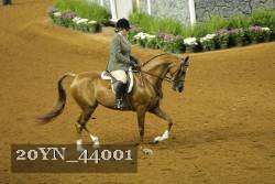 20YN_44001 thumbnail