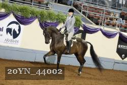 20YN_44002 thumbnail