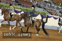 20YN_44003 thumbnail