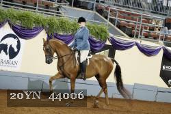 20YN_44006 thumbnail