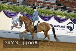 20YN_44008 thumbnail
