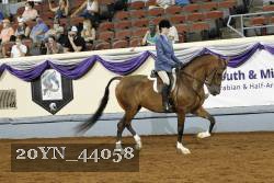 20YN_44058 thumbnail