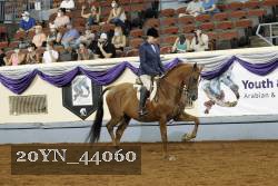 20YN_44060 thumbnail