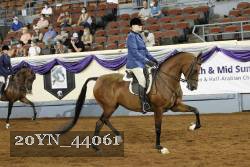 20YN_44061 thumbnail