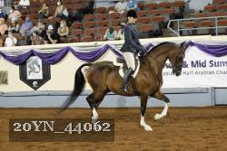 20YN_44062 thumbnail