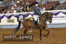 20YN_44063 thumbnail