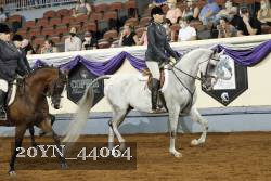 20YN_44064 thumbnail