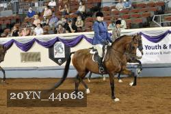 20YN_44068 thumbnail