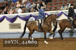 20YN_44069 thumbnail