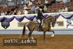 20YN_44070 thumbnail