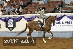20YN_44071 thumbnail