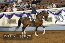 20YN_44072 thumbnail
