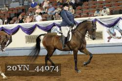 20YN_44074 thumbnail