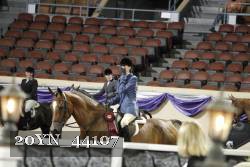 20YN_44107 thumbnail