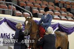 20YN_44112 thumbnail