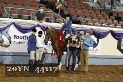 20YN_44117 thumbnail