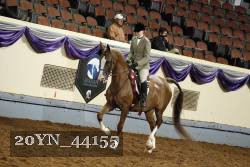 20YN_44155 thumbnail