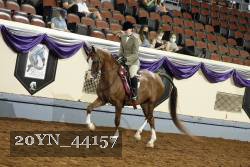 20YN_44157 thumbnail