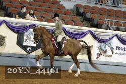 20YN_44161 thumbnail