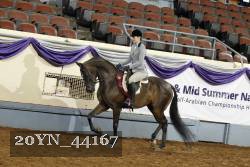 20YN_44167 thumbnail