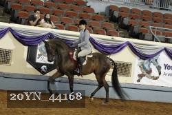 20YN_44168 thumbnail