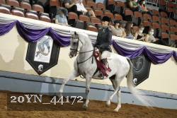 20YN_44172 thumbnail