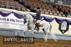 20YN_44173 thumbnail