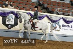 20YN_44174 thumbnail