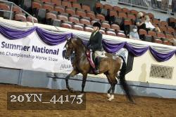 20YN_44175 thumbnail