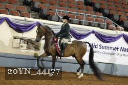 20YN_44177 thumbnail