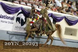 20YN_20293 thumbnail