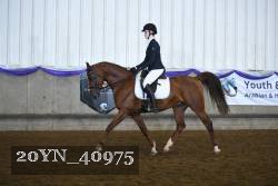 20YN_40975 thumbnail
